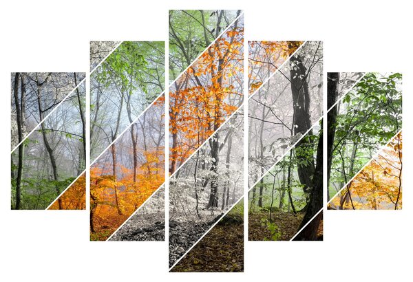 Kép - Változó évszakok (150x105 cm)