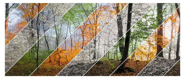 Kép - Változó évszakok (120x50 cm)
