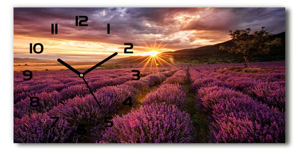 Üvegóra vízszintesen Levendula mező