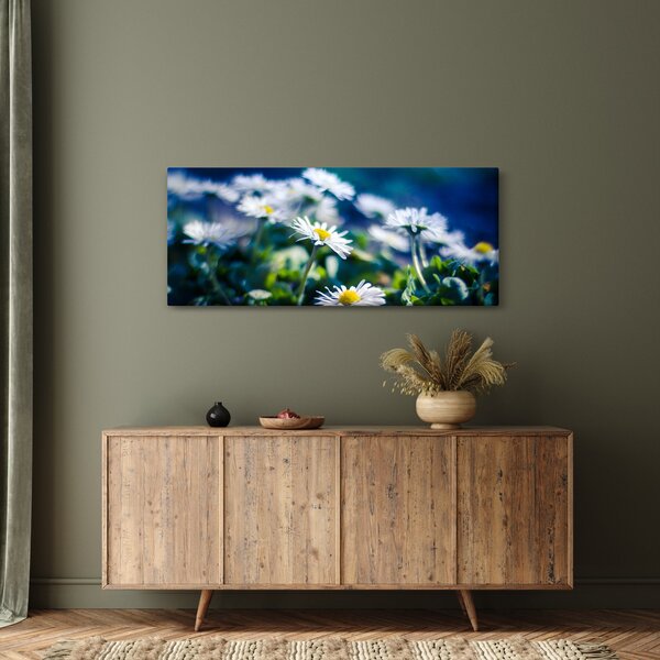 Százszorszépek képe (120x50 cm)