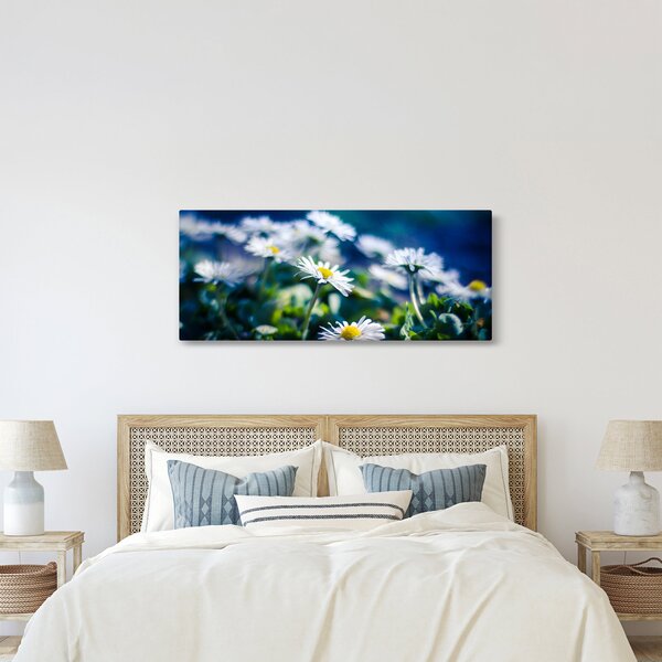 Százszorszépek képe (120x50 cm)