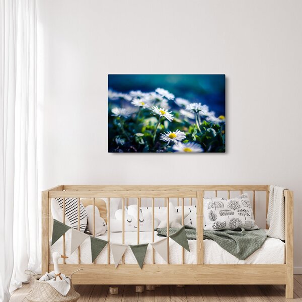 Százszorszépek képe (90x60 cm)