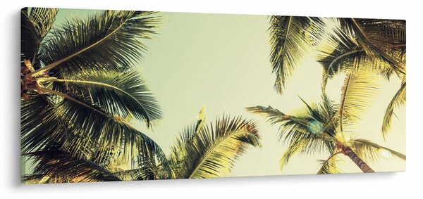 Kép kókuszpálmával (120x50 cm)