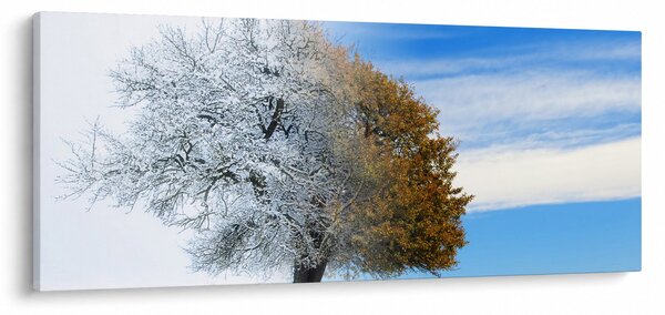 Kép - Évszakváltás (120x50 cm)
