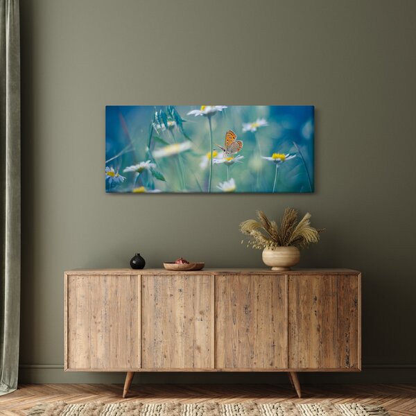 Kép - pillangó a százszorszépen (120x50 cm)