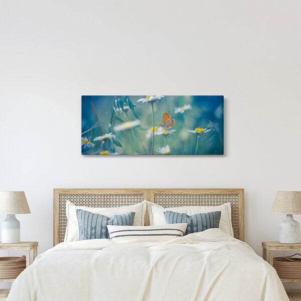 Kép - pillangó a százszorszépen (120x50 cm)