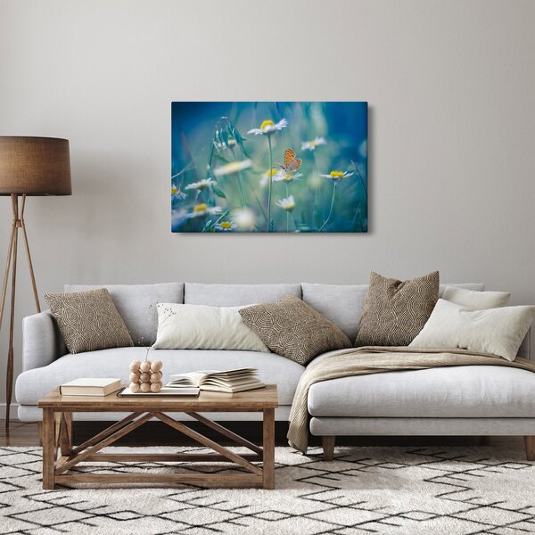 Kép - pillangó a százszorszépen (90x60 cm)