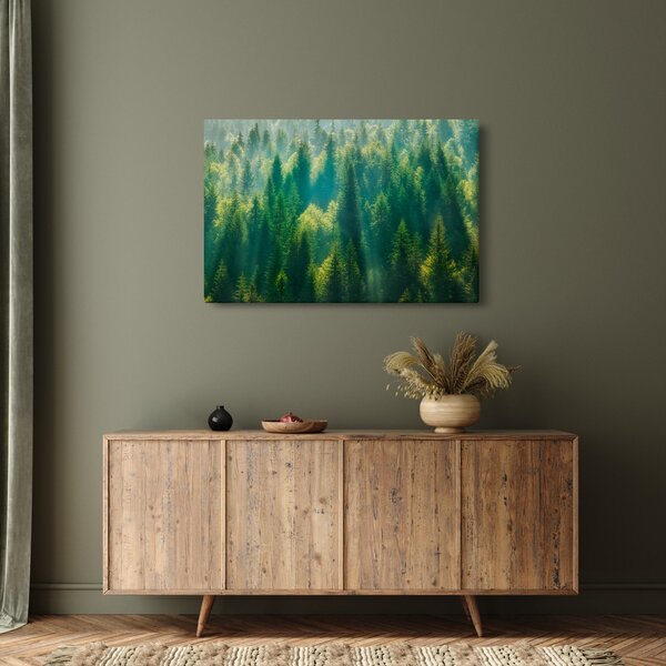 Kép - fenyőerdő (90x60 cm)