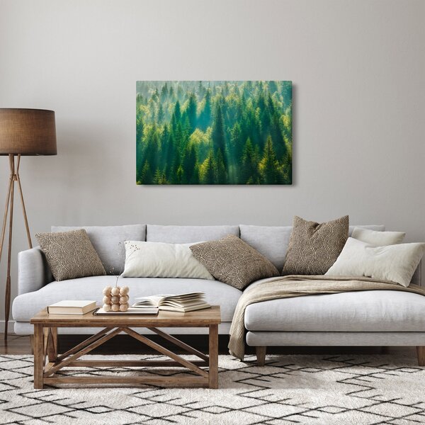 Kép - fenyőerdő (90x60 cm)