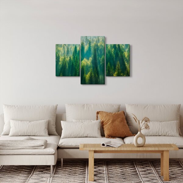 Kép - fenyőerdő (90x60 cm)
