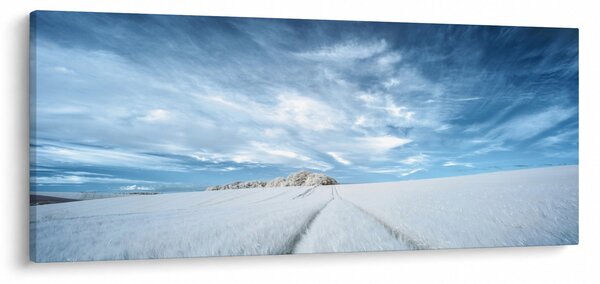 Mezőkép (120x50 cm)