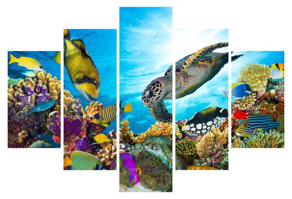 Egy korallzátony képe (150x105 cm)