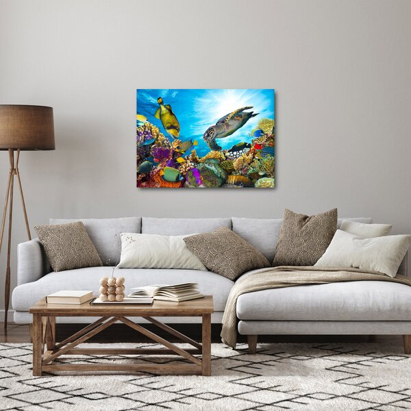 Egy korallzátony képe (70x50 cm)