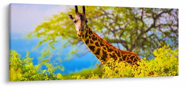 Egy kép egy zsiráfról Afrikában (120x50 cm)