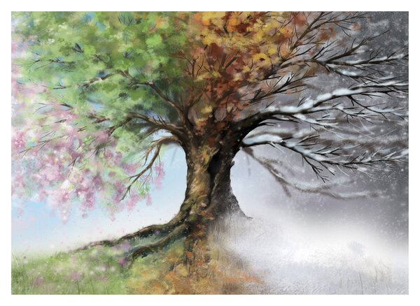 Kép - Négy évszak fája (70x50 cm)