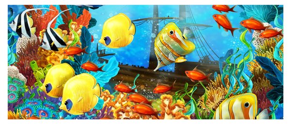 Kép - színes korallzátony (120x50 cm)