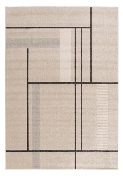 Bézs szőnyeg 160x230 cm Domus – Universal
