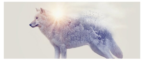 Kép - Vad tájakat tükröző sarkvidéki farkas (120x50 cm)