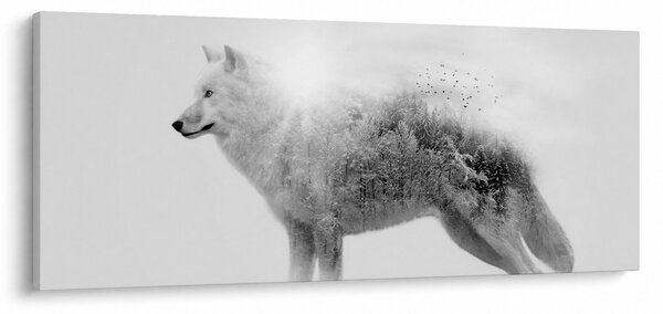 Kép - Vad tájat tükröző sarkvidéki farkas, fekete-fehér (120x50 cm)