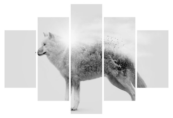 Kép - Vad tájat tükröző sarkvidéki farkas, fekete-fehér (150x105 cm)