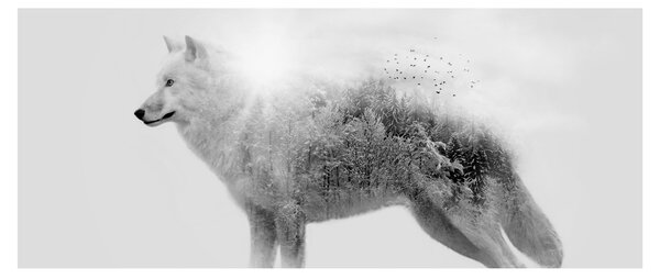 Kép - Vad tájat tükröző sarkvidéki farkas, fekete-fehér (120x50 cm)