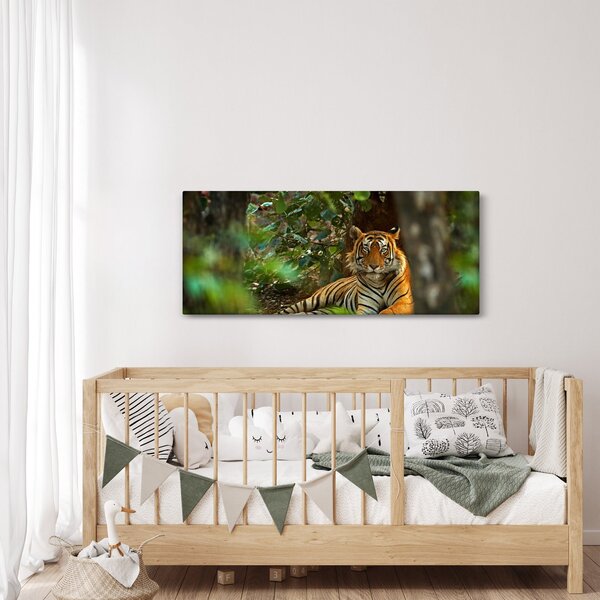Pihenő tigris képe (120x50 cm)