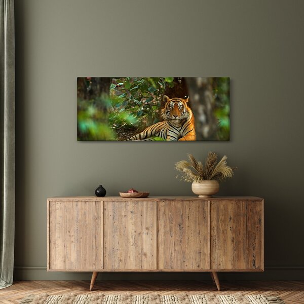 Pihenő tigris képe (120x50 cm)