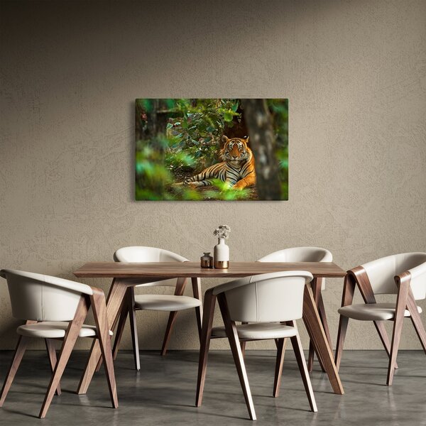 Pihenő tigris képe (90x60 cm)