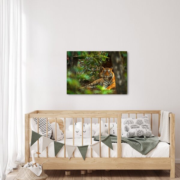 Pihenő tigris képe (70x50 cm)