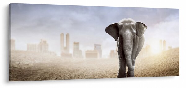 Kép - Elefánt egy nagyvárosban (120x50 cm)