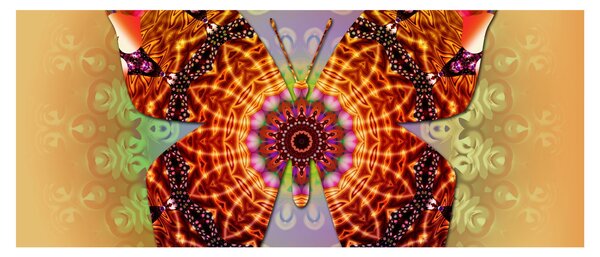 Kép - etno pillangó (120x50 cm)