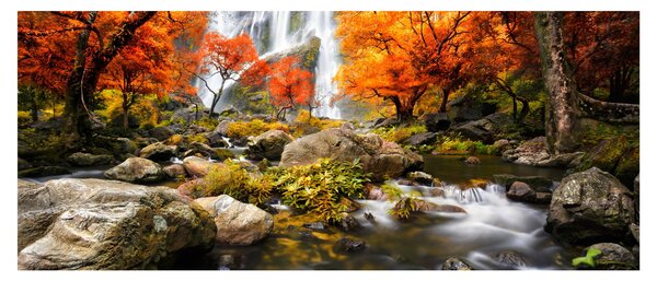 Kép - vízesések a narancssárga erdőben (120x50 cm)