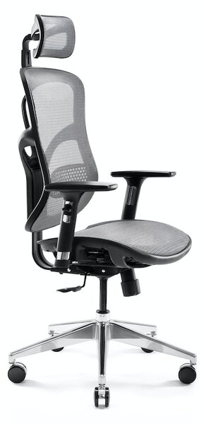 DIABLO V-BASIC ergonomikus irodai szék: fekete-szürke Diablochairs 4Q-ICAE-2HP8