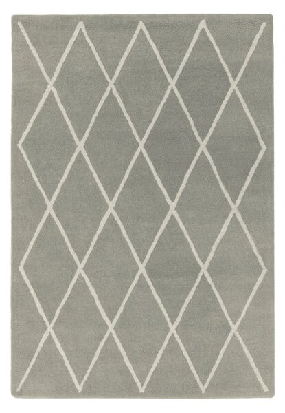 Szürke kézi szövésű gyapjú szőnyeg 200x290 cm Albany – Asiatic Carpets