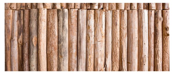 Kép - Bambusz (120x50 cm)