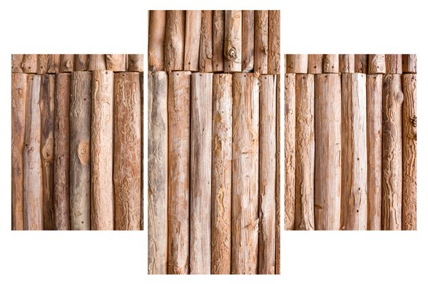 Kép - Bambusz (90x60 cm)