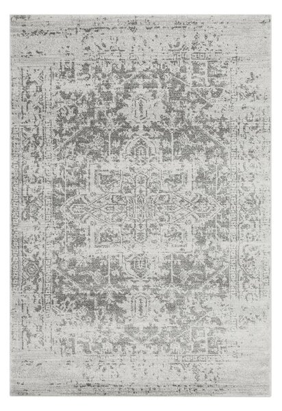 Szürke szőnyeg 80x150 cm Nova – Asiatic Carpets