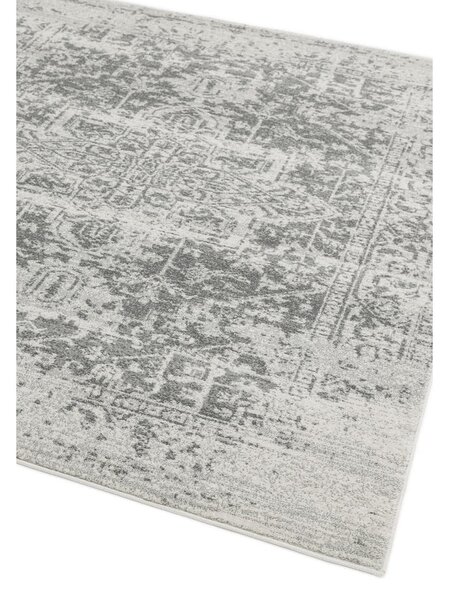 Szürke szőnyeg 80x150 cm Nova – Asiatic Carpets