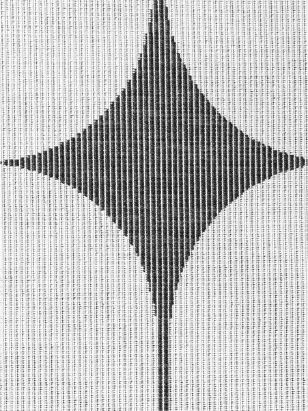 Fekete-fehér kültéri-beltéri szőnyeg 160x230 cm Duet Bowen – NORTHRUGS