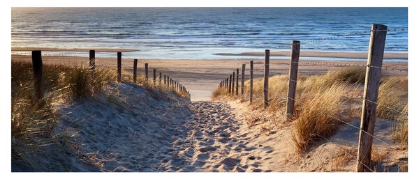 Kép - Út az északi-tengeri strandra, Hollandia (120x50 cm)