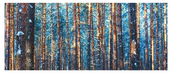 Kép - téli erdő (120x50 cm)