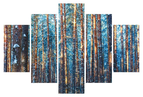 Kép - téli erdő (150x105 cm)