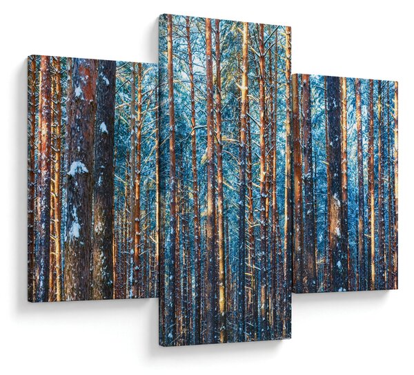 Kép - téli erdő (90x60 cm)