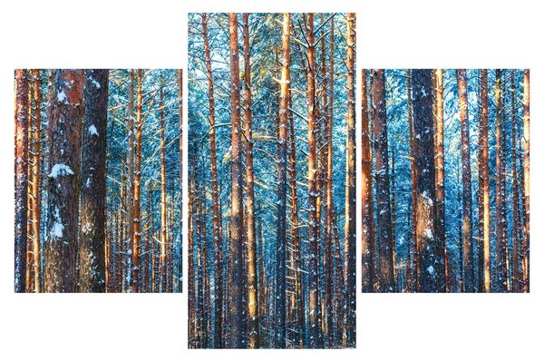 Kép - téli erdő (90x60 cm)