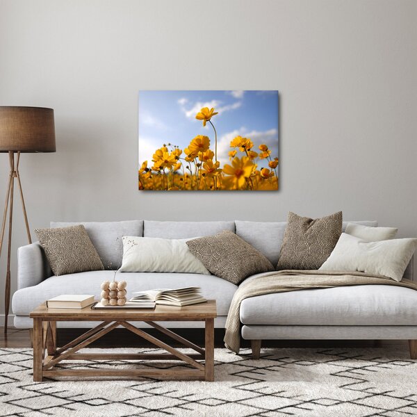 Fényes sárga virágokkal rendelkező mező képe (70x50 cm)
