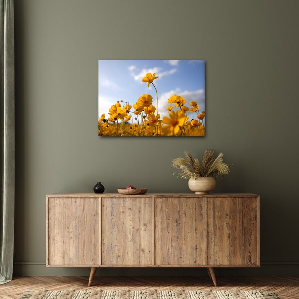 Fényes sárga virágokkal rendelkező mező képe (70x50 cm)