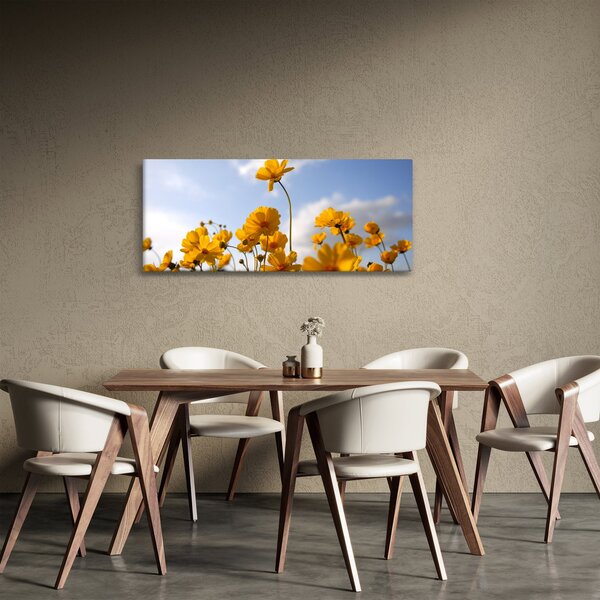 Fényes sárga virágokkal rendelkező mező képe (120x50 cm)