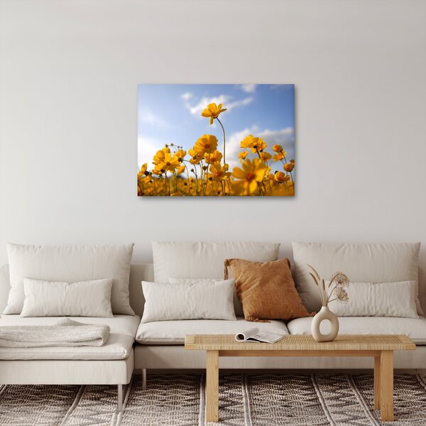 Fényes sárga virágokkal rendelkező mező képe (70x50 cm)