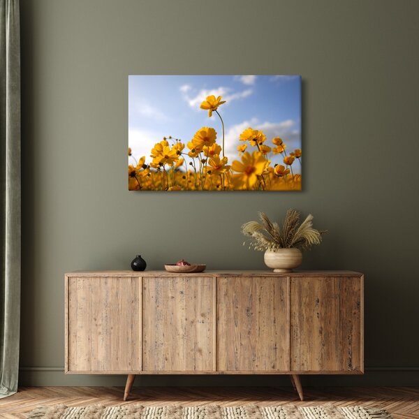 Fényes sárga virágokkal rendelkező mező képe (90x60 cm)