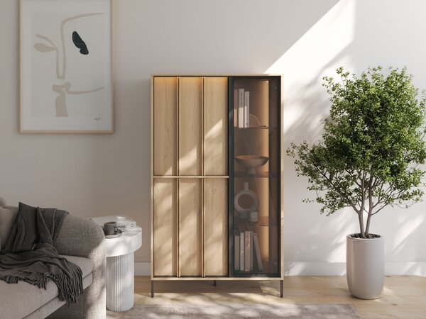 Könyvespolc Morelbo 100, Ajtókkal, Zárt, Üveg, Laminált forgácslap, 151x90x40cm, Fekete, Cremona tölgy